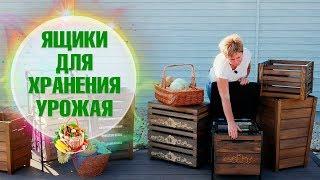 Ящики для хранения урожая  Какие бывают и для чего нужны?