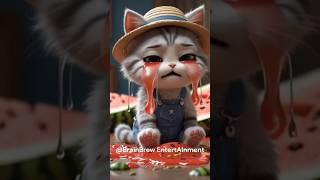 Hardworking Kitten Drops Watermelons! Epic Fall Turns into Cute Disaster