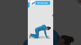 Cat-Cow Pose  - Marjaryasana-Bitilasana #yoga