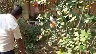 BIDHAN NAGAR 24 NOMBER WORD ... SOCIAL WORK