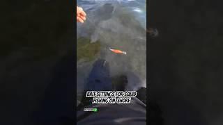 Bait Settings for Squid Fishing on the Shore #shorts #short #fishing #squid #shortvideo #shortsfeed