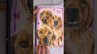his name is binky #art #uh #sketchbook #crayola #drawing #dog