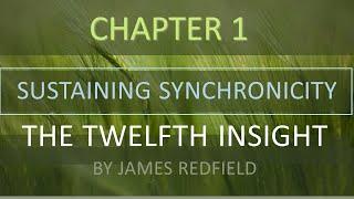 The Twelfth Insight Chapter 1 Sustaining Synchronicity Review