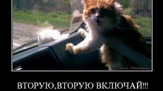 Вот как выглядит наигранность #автоинструктор27#маршрутхабаровск #автошколавосток Автоинструктор27