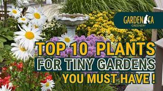 TOP 10 MUST-GROW PLANTS for TINY GARDENS!   // Garden Answer