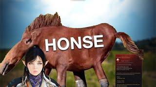 Honse | Black Desert Ultimate Ironman