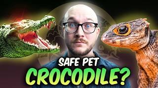 I Recommend Pet Crocodiles FOR BEGINNERS! The Safest "Crocodilian" Pets!