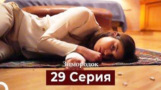 Зимородок 29 Cерия (Русский дубляж)