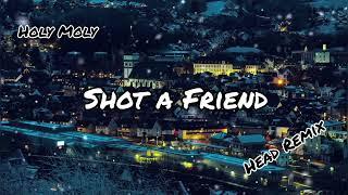 Holy Moly - Shot a Friend (Head Remix)