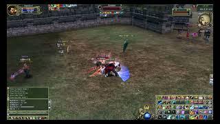 Templar Knight Vs Asassin - Last Chaos DejaVu Classic