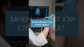 УЗИ брюшной полости стоя и лёжа