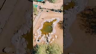 BIG Ecosystem pond in Arizona!