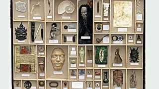 CABINET OF CURIOSITIES (1)