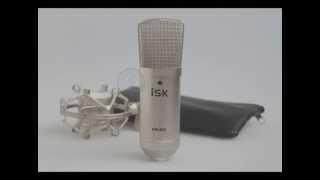 The test microphone ISK BM-800