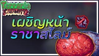 Terraria CALAMITY Mod #8  │ The Slime God เหินฟ้า