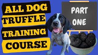 How to train your dog to find truffles tutorial - Part One