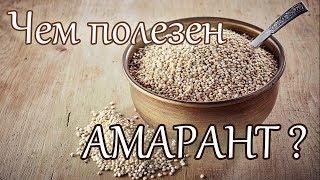 Чем полезен амарант? Польза семян амаранта.