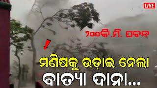 ଭଦ୍ରକ ରେ ଦାନା ର ପ୍ରଭାବ,ମଣିଷ କୁ ଉଡ଼ାଇ ନେଲା ବାତ୍ୟା || Cyclone Dana Latest Video From Bhadrak