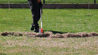 Fix an Ugly Lawn with One Cheap Tool! Lawn Dethatching and Aeration!