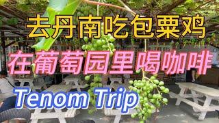 丹南之旅，吃包粟鸡，在葡萄园里喝咖啡。Tenom Trip