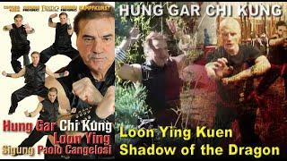 Chi Kung Hung Gar. Loon Ying Kuen, the Shadow of the Dragon