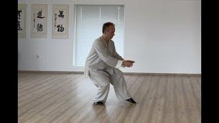 Taijiform according to Grandmaster Yang Chengfu, demonstrated by Jan Silberstorff (2021).