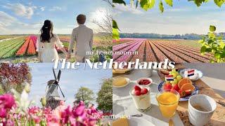 dream trip to spring Netherlands  tulip field in full bloom sightseeing, cycling