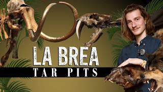 Inside The Worlds Most Unusual Fossil Site - The La Brea Tar Pits (Feat. Lindsay Nikole)