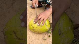 Survival Skills: CRACK OPEN a Fresh Coconut #survival #camping #bushcraft #outdoors