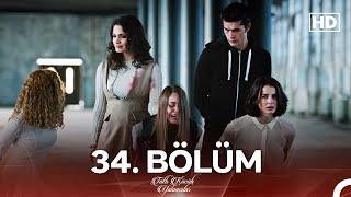 Tatlı Küçük Yalancılar 34. Bölüm (FULL HD) - FİNAL