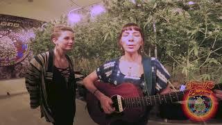 Serenaded Buds Presents: Amy Sue Berlin & Kendra Kinsey - If I'd Only Known 7/16/17