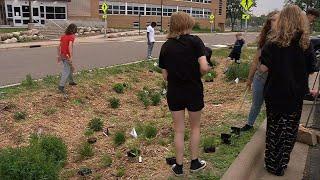 Robbinsdale Middle School Students Plant Rain Garden