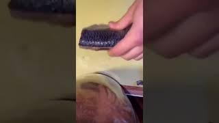 baliq tozlash / fish  cleaning/  чистить рыбу