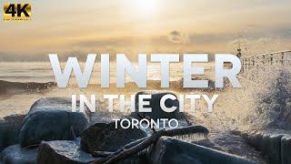 Winter in the City: Toronto Parks in 4K