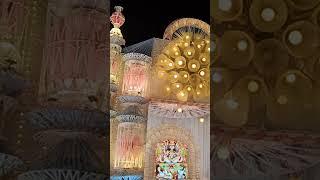 Edision kali puja || lipunx