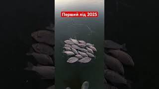 Перший лід 2025 #рибалка #рек