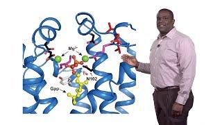 Russell DeBose-Boyd (UTSW) 2: Schnyder Corneal Dystrophy: UBIAD1 Regulation of Cholesterol