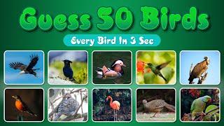 Guess the Birds in 3 Seconds CHALLENGE | 50 Birds | Guess the Birds | Quiz | M Graphics