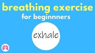 Deep Breathing Exercise for Beginners | TAKE A DEEP BREATH