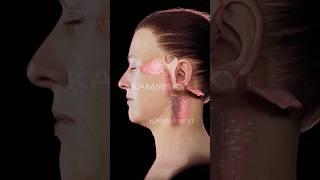 Preservation Deep Plane FaceLift ⭕️ KAMINSKYI