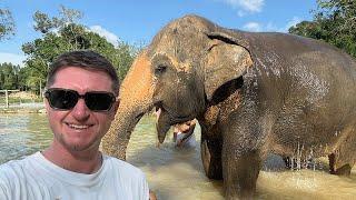 Playing with Elephants in Thailand! Green Sanctuary Phuket 