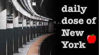 A train entering Hoyt Schermerhorn Street station  [daily dose of New York ]