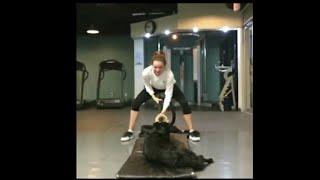 Danielle panabaker workout with dog #18