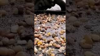 Master Builder Magically TRANSFORMS ROUGH Gravel Surface into a MASTERPIECE with Just a Hand Float!
