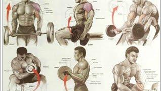 Best bicep exercises #muscle hub gym
