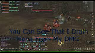 Lineage 2 Classic Short Dominator Guide To Infinity Mana