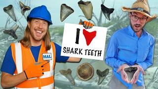 Fossil Finding with a Paleontologist | Shark Teeth Adventure with @CharlestonFossilAdventures