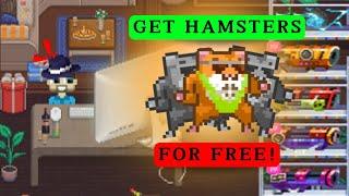 How To Get A HAMSTER In Rollercoin WITHOUT Mining Power