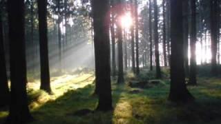 Natur im Waldviertel - Balsam für die Seele