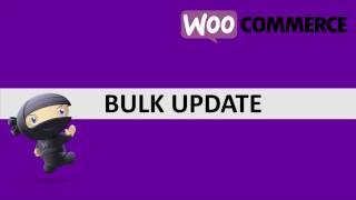 Woocommerce Csv Bulk Edit Product Variation – Bulk Update